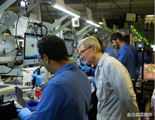 蘋果印度工廠全面撤退 庫克不得不接受的現實